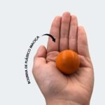 Arranhador para Gatos com Bolinha Interativa Antistress  - Azul - Imagem 4