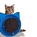 Arranhador para Gatos com Bolinha Interativa Antistress  - Azul - Imagem 2